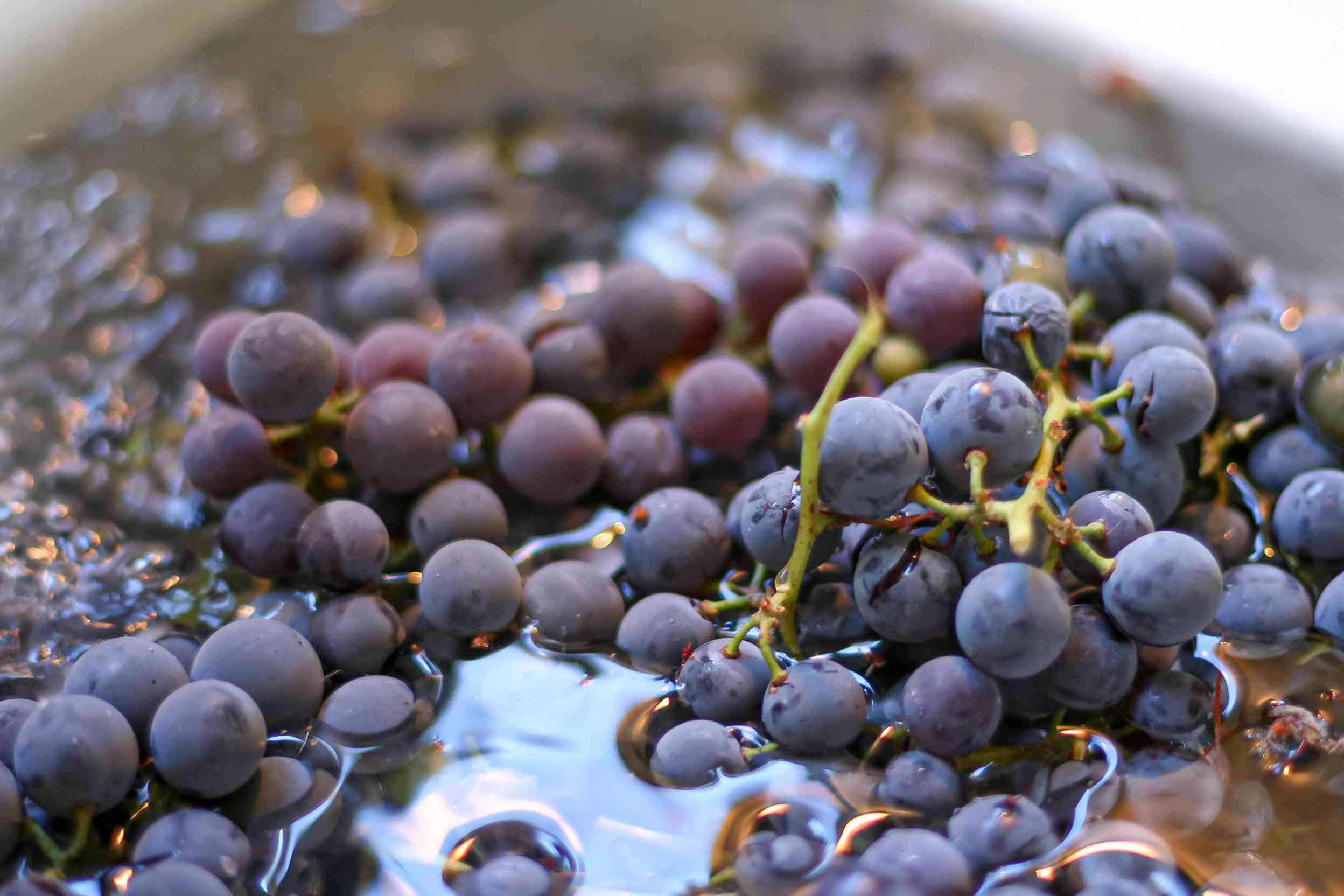 Comment congeler des raisins